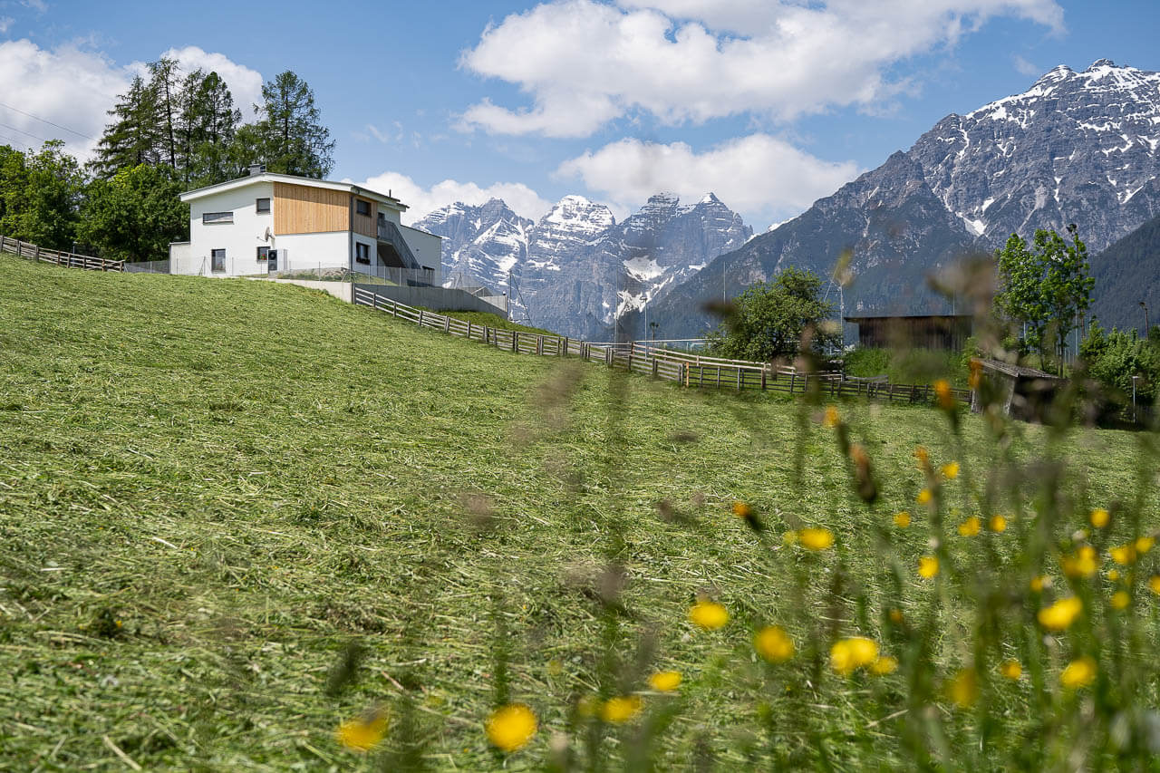 Haus im Weidegebiet